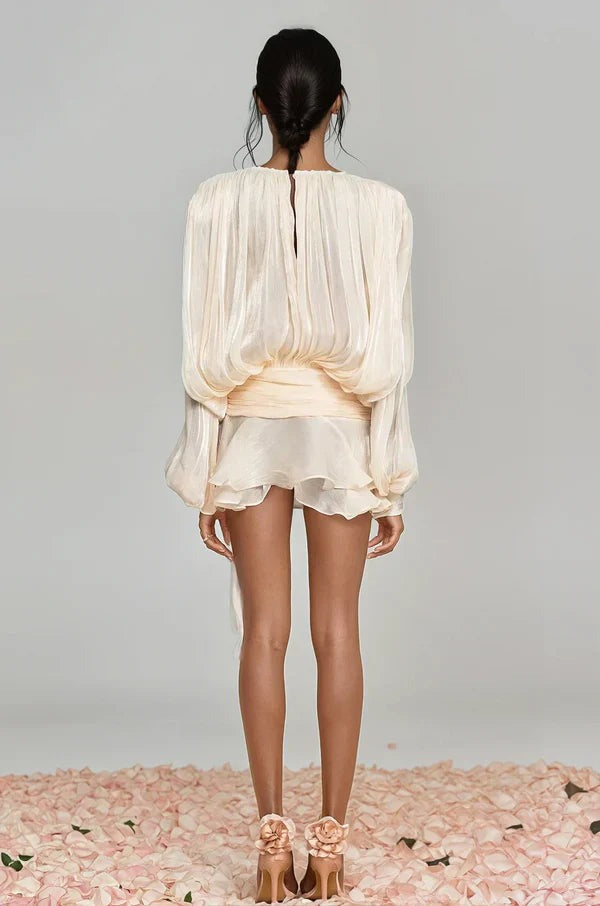 Long Sleeve Mini Dress